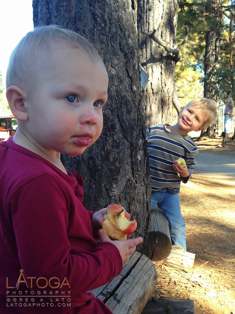 Caitlin and Matthew Enjoying Apple PIcking